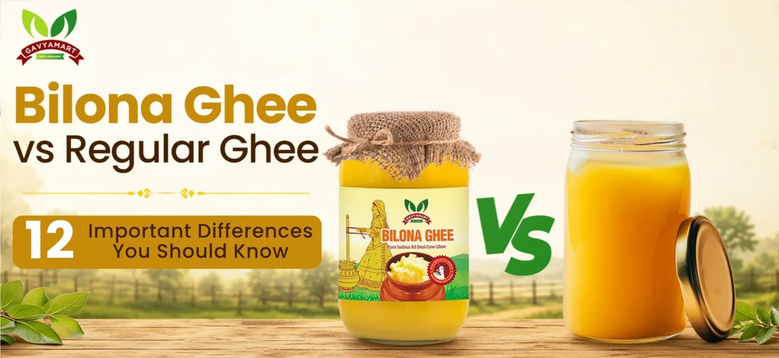 Bilona Ghee vs Regular Ghee: 12 Important Differences You Should Know Before Buying (2026)