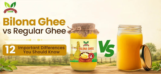 Bilona Ghee vs Regular Ghee: 12 Important Differences You Should Know Before Buying (2026)