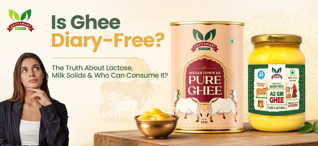 Is Ghee Dairy-Free? Lactose, Milk Solids & Complete Guide (2026)