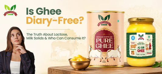 Is Ghee Dairy-Free? Lactose, Milk Solids & Complete Guide (2026)