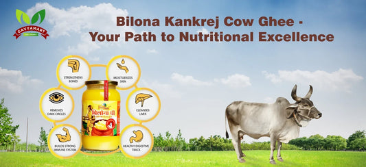 Jar of Bilona Kankrej Cow Ghee surrounded by benefits on a sunny landscape